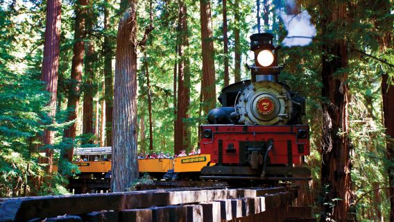BEST Redwood Forest Steam Train & Santa Cruz Harbor Day Trip from San Francisco