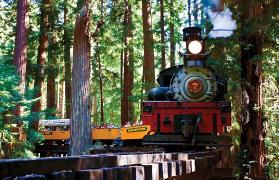 三藩市出發聖克魯斯港紅木森林蒸汽火車一日遊