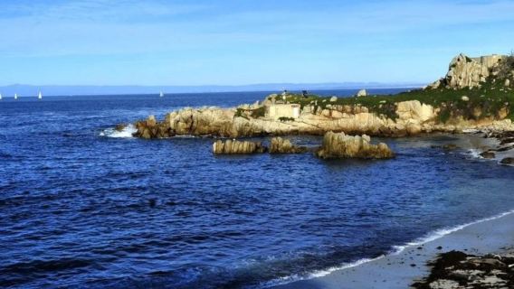 美國舊金山+加州一號公路全段包車一日遊/行程可調-可訂製