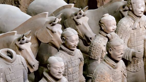 시안 1일 투어: 진시황 병마용 박물관 & 시내 대표 어트랙션 + 현지 가정식 점심 포함
