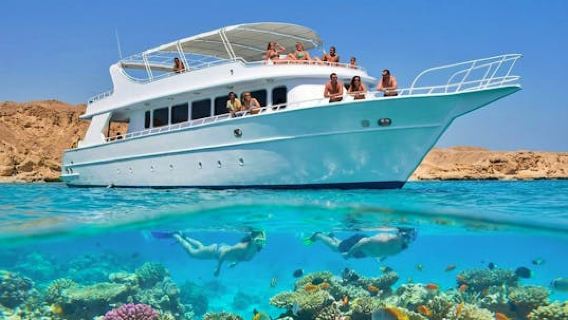 Red Sea cruise to Ras Mohamed with lunch from Sharm El Sheikh