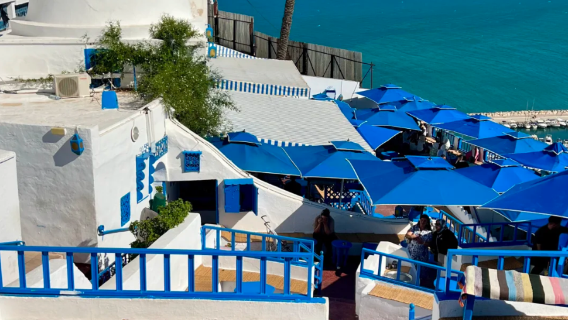 Chinese-speaking guide in Tunis, local guide, exhibition interpreter, business interpreter, seamless communication