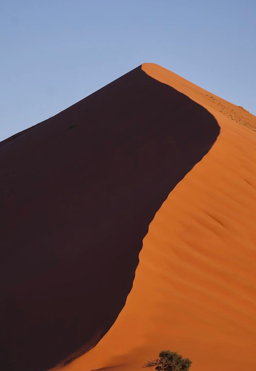 Partenza da Riad, Arabia Saudita: Tour di un giorno alla Cima del Mondo e al Deserto Rosso [Servizio di transfer & itinerario flessibile]