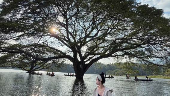 ทัวร์ 1 วัน เชียงใหม่|ต้นไม้ร้อยปีกลางทะเลสาบ + ช้างล้านนา จุดถ่ายรูปสุดฮิตแห่งใหม่
