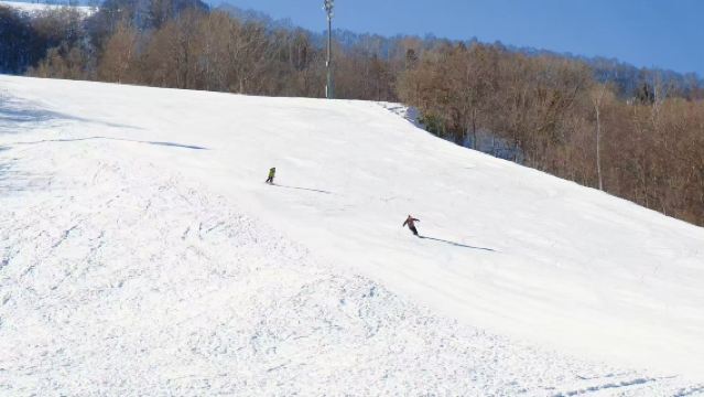 新千歲機場-札幌/小樽：接機/送機單程包車服務【中文包車】