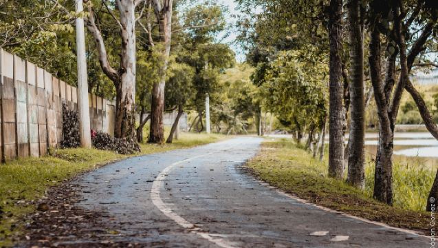 美國洛杉磯來回-大熊湖-冬季滑雪勝地-露營天堂｜熱門明星路線
