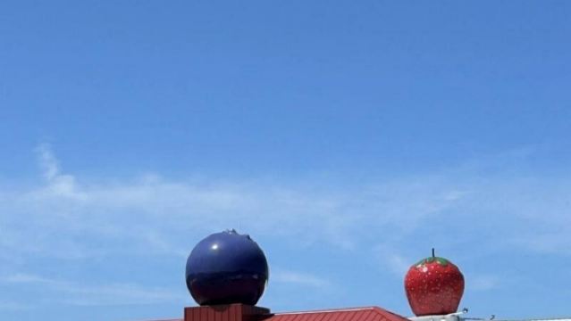 美國+芝加哥唐人街+華麗一英里一日遊/行程可調-可定制