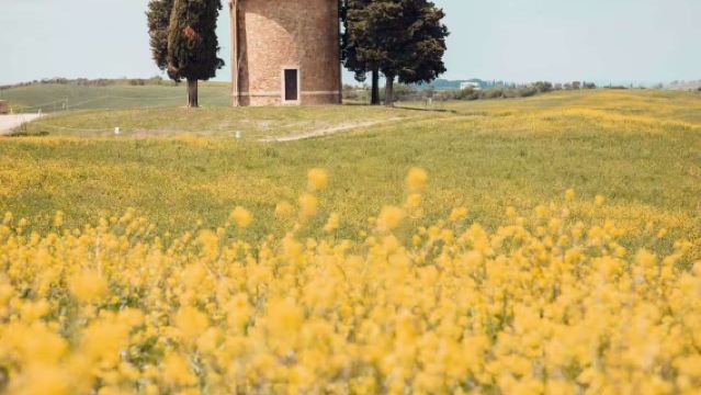 Sewaan peribadi lawatan sehari Rom-Tuscany-Florence