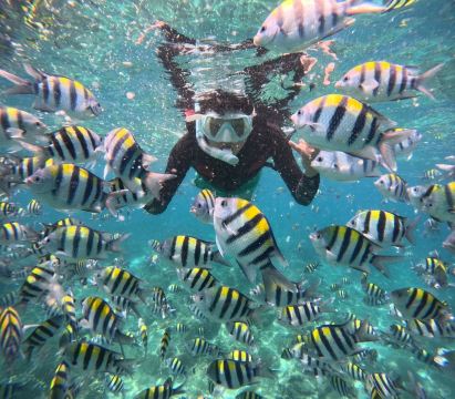 Boundary island snorkeling + scuba diving includes admission ticket + round-trip boat ticket + photography + instructor + diving equipment