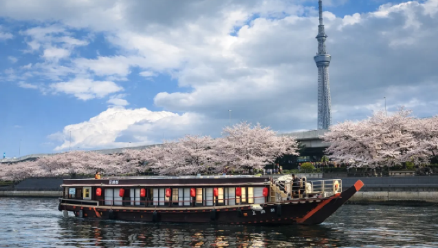 Tokyo Cherry Blossom Limited Edition Themed Japanese Yakatabune Experience (Includes 8-piece Sushi + Japanese Sake + Professional Shamisen Performance)