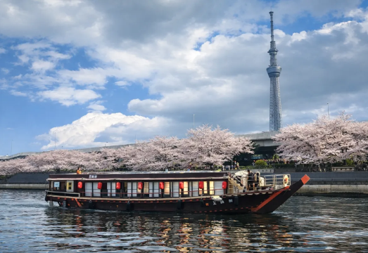 Tokyo, Japan Night Cruise on the Sumida River Sakura Viewing Limited [Traditional Japanese Performance + Kuroge Wagyu Sukiyaki Dinner +...
