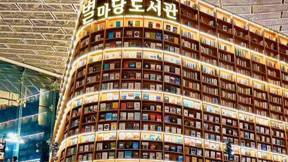 Lawatan Sehari Aliran Seni & Budaya Seoul: Lukisan Komik Cepat Hongdae/Taman Hangang/Perpustakaan Bintang Apgujeong