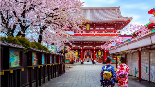 日本 /東京/ 新宿 /歌舞伎地陪 /翻譯 /留學生地陪導遊 / 接機/日本深度遊/一單一團