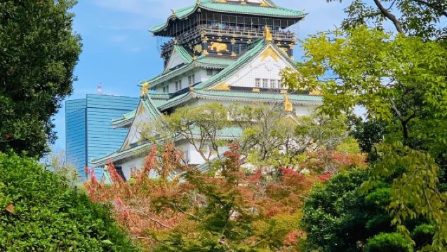 日本大阪：大阪城公園-四天王寺-長居植物園 包車遊