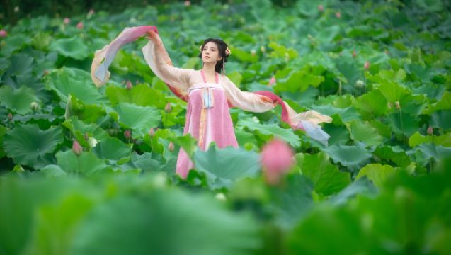 Φωτογράφιση ταξιδιού στο Λονγκγκανγκ[Συνοδευτική φωτογράφηση στο σπίτι, φωτογράφηση οικογενειών, ζευγαριών, φωτογραφίες, σύντομα βίντεο, διαφημιστικά βίντεο, πορτραίτα, φωτογράφηση γάμου, όλα τα αρνητικά περιλαμβάνονται, μετάφραση]