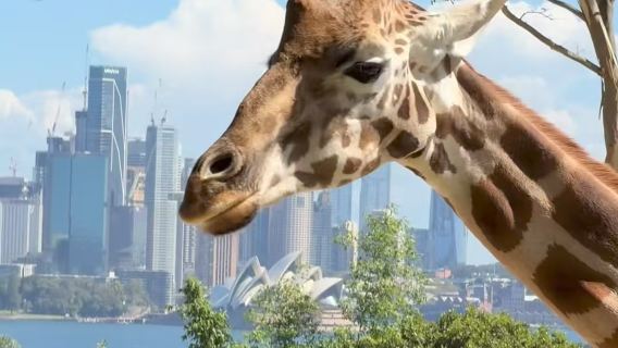 1-day family-friendly science education tour in Melbourne