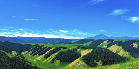 康樂草原+張掖七彩丹霞旅遊景區【雪山草原/大型國旅/品質保障】