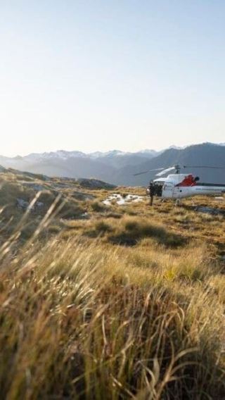 Nighttime kiwi bird spotting experience in New Zealand's North Island [round-trip from Auckland | optional small group]