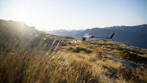 Esperienza notturna di ricerca del kiwi nell'Isola del Nord della Nuova Zelanda [Auckland andata e ritorno | opzione piccolo gruppo]