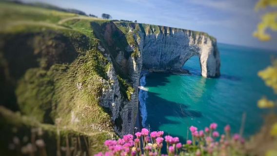  Paris sewaan peribadi: Fondation Claude Monet + Bandar Étretat [kereta peribadi/tidak termasuk tiket masuk]