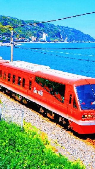 Tokyo 1-day tour to Mt. Omuro + Izu Shaboten Park + Jogasaki Coast sightseeing train