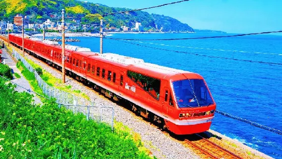 Tour di un giorno a Tokyo: Mt. Omuro, Zoo dei Cactus di Izu e treno panoramico della costa di Katsuura
