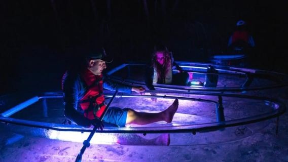 Tampa Bay: Shell Key Preserve Clear Kayak Tour