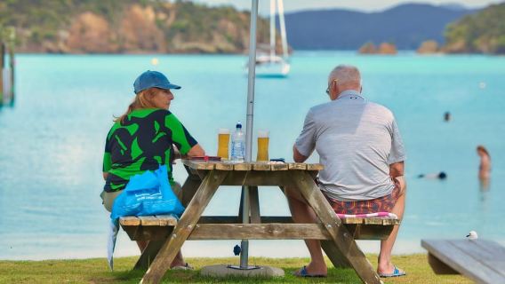 Discover the Bay of Islands incl Dolphins and island lunch