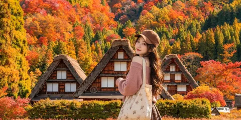 白川鄉 & 飛驒高山一日遊 | 聯合國教科文組織遺產村落 & 白川鄉展望台