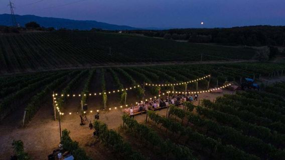 Dinner in the Vineyards