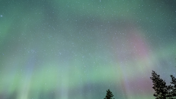 Northern lights tour from Rovaniemi, Finland / optional standard group / small group for 8 people