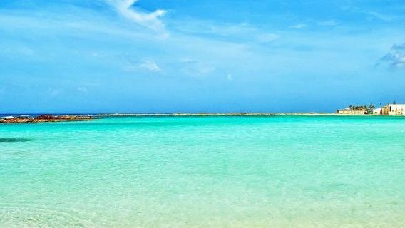 Passeio de Mergulho em Aruba: Mangel Halto e Praia Baby Beach
