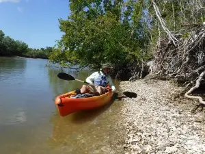 Everglades Nat'l Park Small Group Guided Kayak Eco Tour