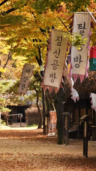 Korea | 10-Hour Private Charter – Nami Island Route | Flexible Stops in Chuncheon & Gyeonggi-do | From Seoul | Professional Driver