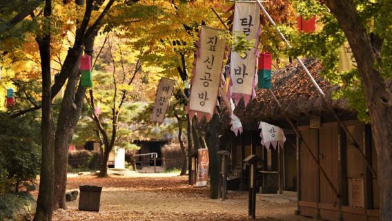 (10 hours) Gangwon-do Route Chartered private charter|Camel Ranch Hwacheon/Depart from Seoul