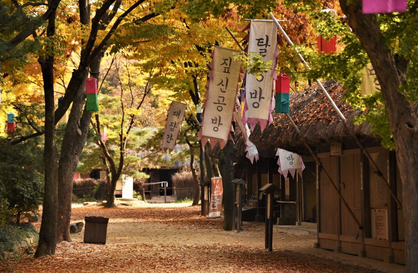 (10 hours) Gangwon-do Route Chartered private charter|Camel Ranch Hwacheon/Depart from Seoul