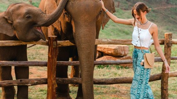 【贊】泰國清邁納財大象營+粘粘瀑布一日遊丨粑粑公園/竹漂流