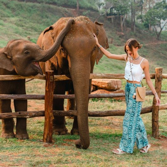 【贊】泰國清邁納財大象營+粘粘瀑布一日遊丨粑粑公園/竹漂流