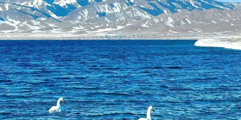 伊犁賽里木湖一日遊【6人小團+含門票+環湖接駁車+上門接】