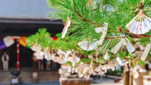 天橋立觀景地+伊根舟屋一日遊，大阪來回，贈送機場-酒店巴士票