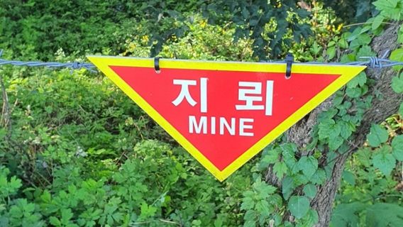 서울데이 투어