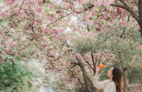 無錫Trip Moments【司機兼導遊兼Trip Moments攝影師+婚紗照航拍微電影+化妝服裝+行程定制+不限人數】