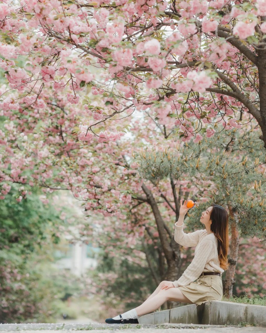 Wuxi Travel Photography[Driver and guide + travel photography + wedding photos, aerial photography, micro-film + makeup and clothing + itinerary customization]