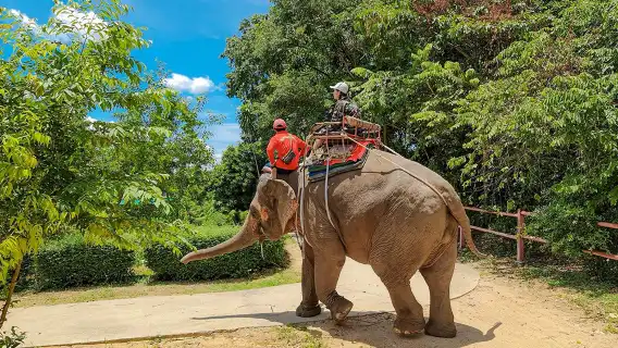 ช้างไทยทัพพระยาซาฟารี พัทยา ประเทศไทย [ขี่ช้าง/ ซิปไลน์/ ยิงปืน/ขับรถ ATV ออฟโรด]