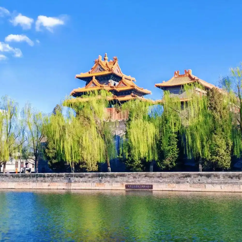 北京紫禁城・スネイルツアー【入場チケット＋宝物館チケット付き