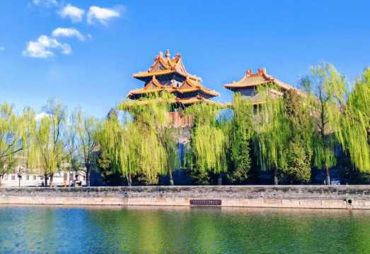 Half-Day Tour of the Beijing Forbidden City [Including Tickets and Free Treasure Hall Ticket] Multiple Group Types / Chinese/English Guided Tour