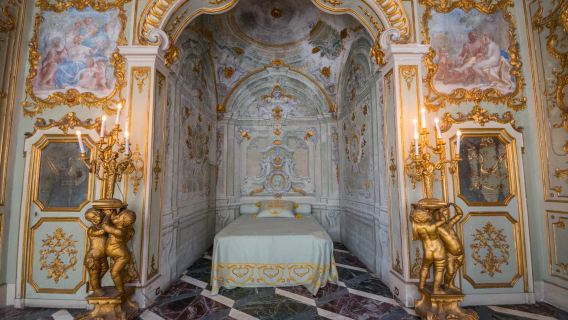 Rolli Palaces: Guided Tour