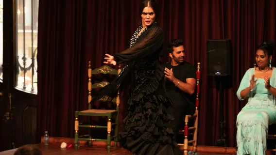 Palau Dalmases: Flamenco Show