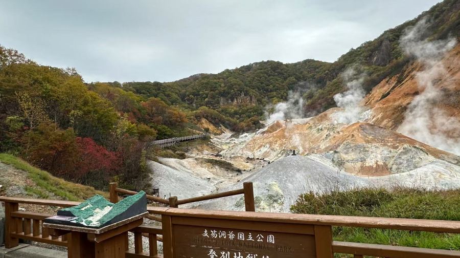 札幌發住洞爺湖溫泉】洞爺湖/登別/支湖/舒適輕鬆深度一日遊