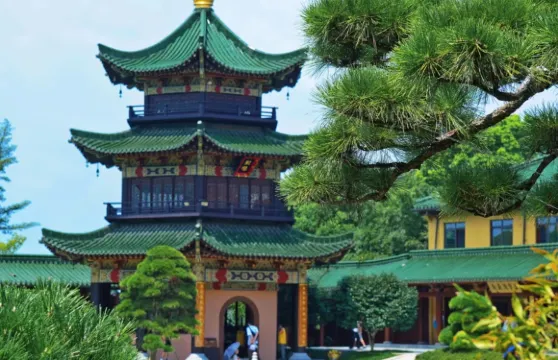 雲居山+東林寺+東林大佛一日遊【九江市起止/包車遊】